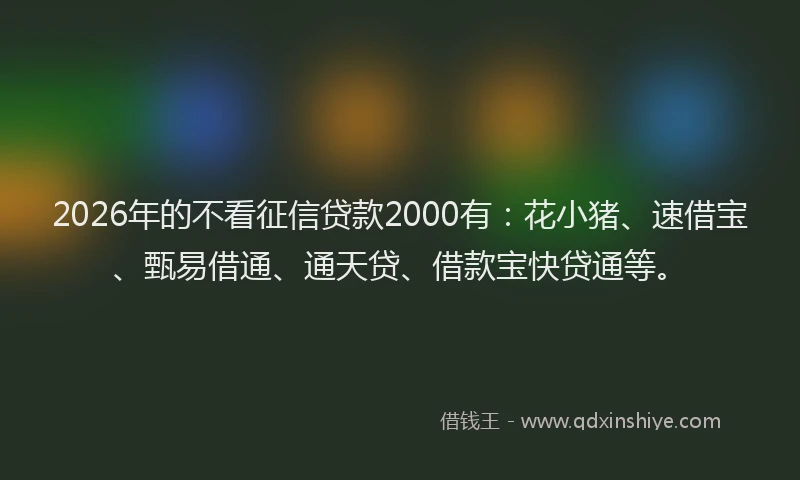 2026年的不看征信贷款2000有：花小猪、速借宝、甄易借通、通天贷、借款宝快贷通等。