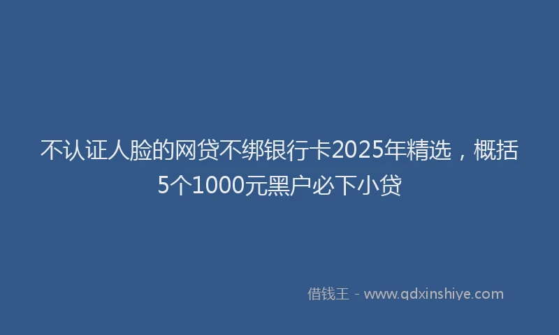 不认证人脸的网贷不绑银行卡2025年精选，概括5个1000元黑户必下小贷