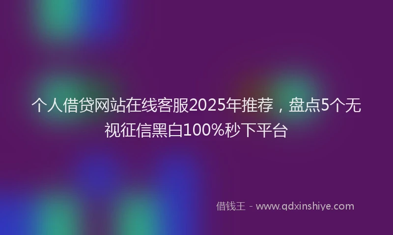 个人借贷网站在线客服2025年推荐，盘点5个无视征信黑白100%秒下平台