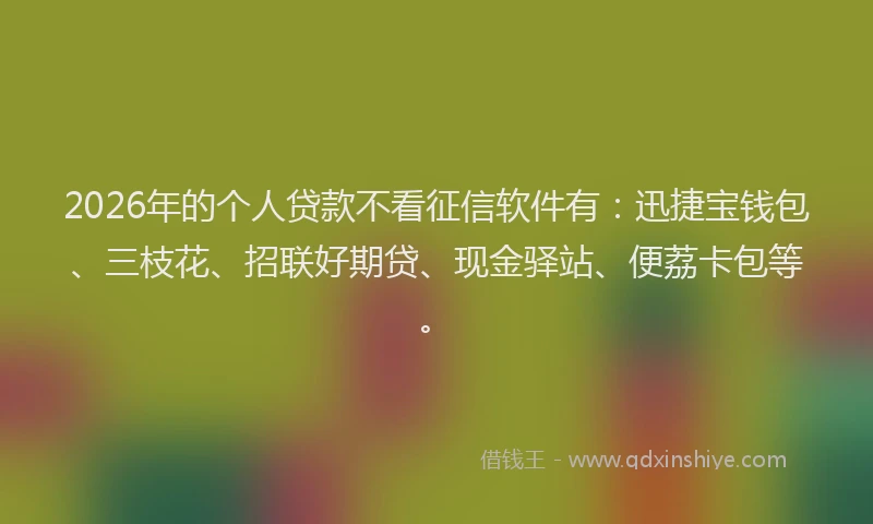 2026年的个人贷款不看征信软件有：迅捷宝钱包、三枝花、招联好期贷、现金驿站、便荔卡包等。
