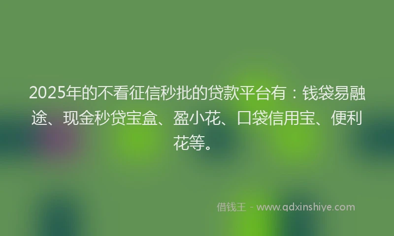2025年的不看征信秒批的贷款平台有：钱袋易融途、现金秒贷宝盒、盈小花、口袋信用宝、便利花等。
