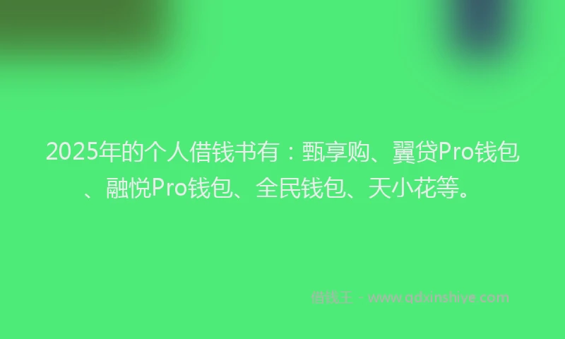 2025年的个人借钱书有：甄享购、翼贷Pro钱包、融悦Pro钱包、全民钱包、天小花等。