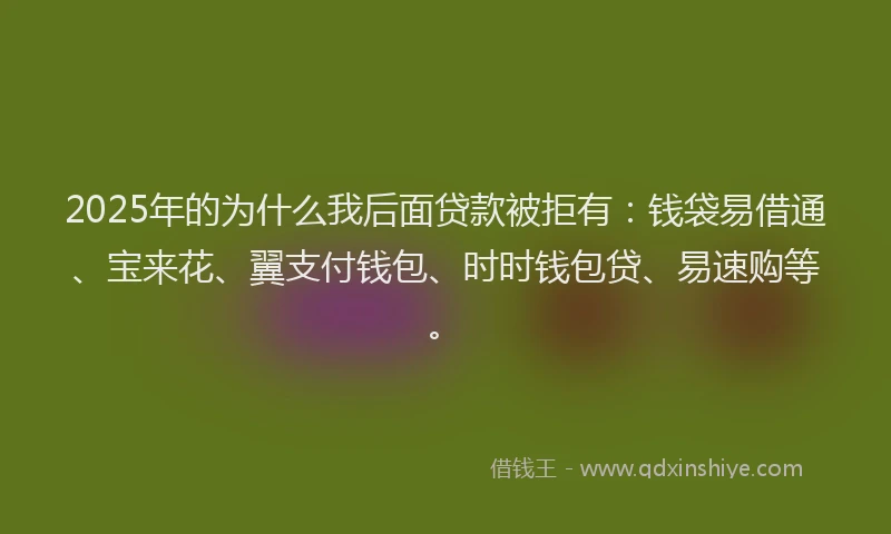 2025年的为什么我后面贷款被拒有：钱袋易借通、宝来花、翼支付钱包、时时钱包贷、易速购等。