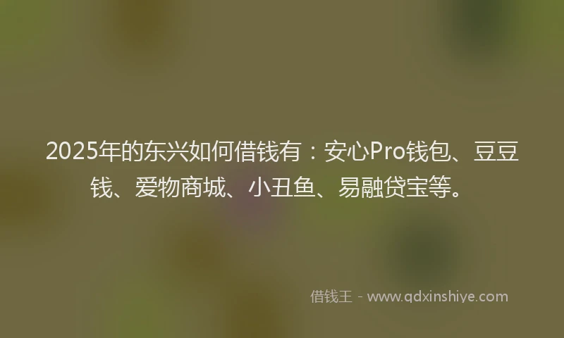 2025年的东兴如何借钱有：安心Pro钱包、豆豆钱、爱物商城、小丑鱼、易融贷宝等。