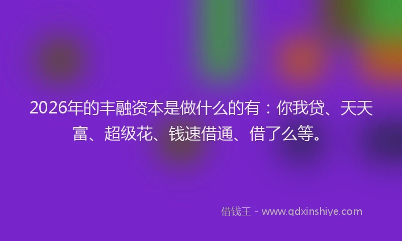 2026年的丰融资本是做什么的有：你我贷、天天富、超级花、钱速借通、借了么等。