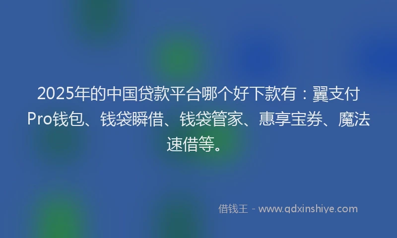 2025年的中国贷款平台哪个好下款有：翼支付Pro钱包、钱袋瞬借、钱袋管家、惠享宝券、魔法速借等。