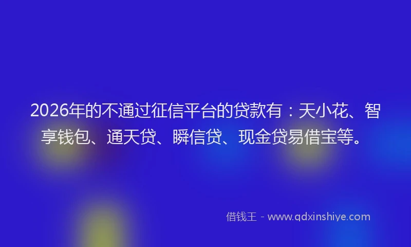 2026年的不通过征信平台的贷款有:天小花、智享钱包、通天贷、瞬信贷、现金贷易借宝等。