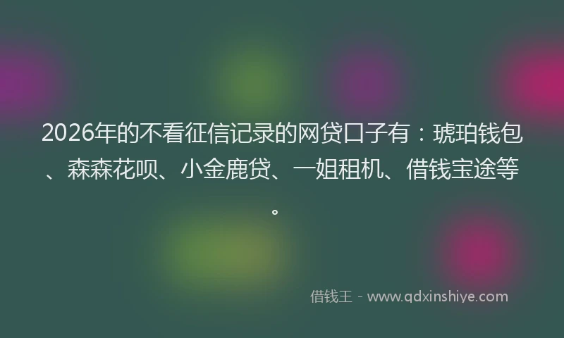 2026年的不看征信记录的网贷口子有：琥珀钱包、森森花呗、小金鹿贷、一姐租机、借钱宝途等。