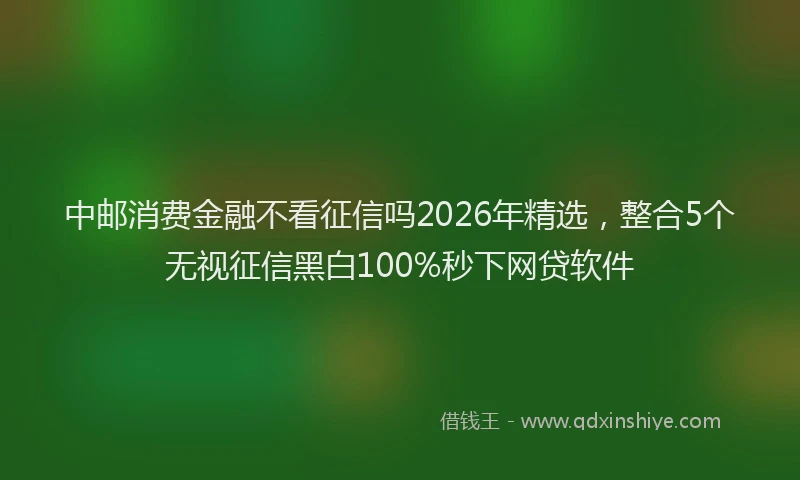 中邮消费金融不看征信吗2026年精选，整合5个无视征信黑白100%秒下网贷软件