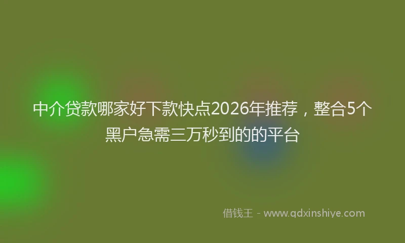 中介贷款哪家好下款快点2026年推荐，整合5个黑户急需三万秒到的的平台