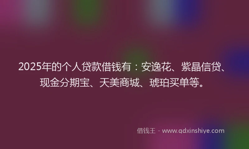 2025年的个人贷款借钱有：安逸花、紫晶信贷、现金分期宝、天美商城、琥珀买单等。