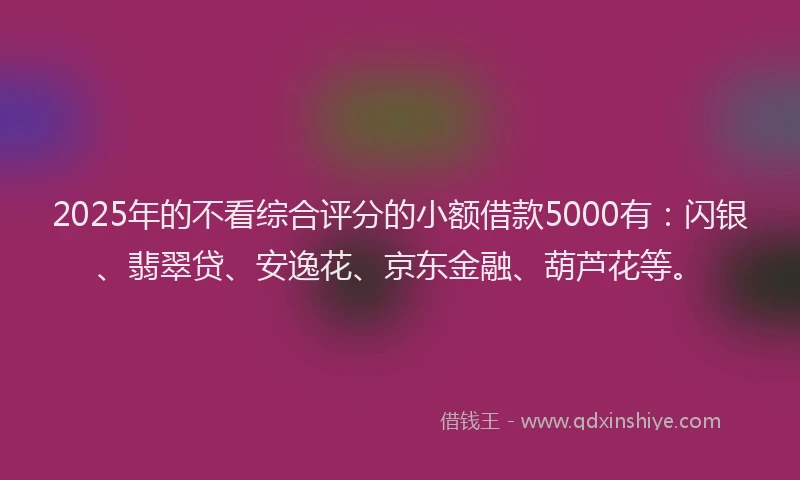 2025年的不看综合评分的小额借款5000有：闪银、翡翠贷、安逸花、京东金融、葫芦花等。