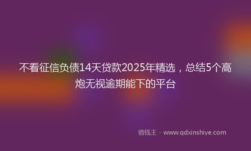 不看征信负债14天贷款2025年精选，总结5个高炮无视逾期能下的平台
