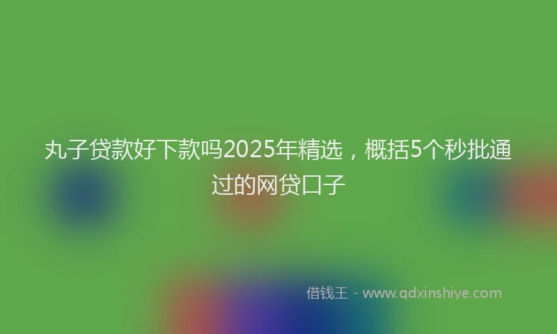 丸子贷款好下款吗2025年精选，概括5个秒批通过的网贷口子