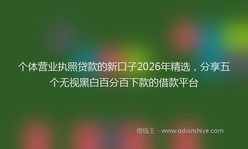 个体营业执照贷款的新口子2026年精选，分享五个无视黑白百分百下款的借款平台