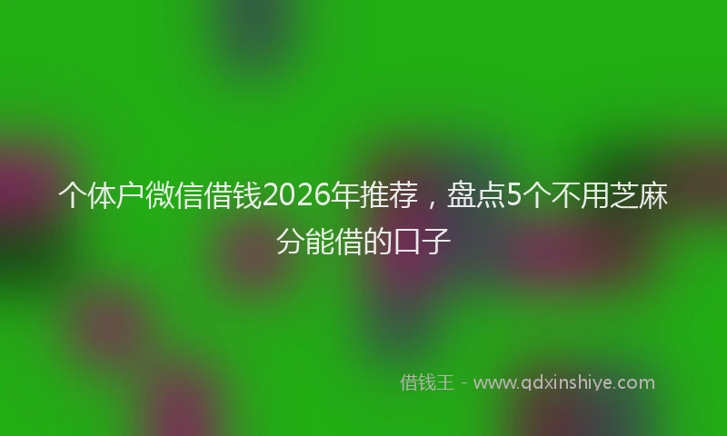 个体户微信借钱2026年推荐，盘点5个不用芝麻分能借的口子