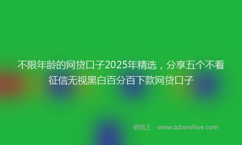 不限年龄的网贷口子2025年精选，分享五个不看征信无视黑白百分百下款网贷口子
