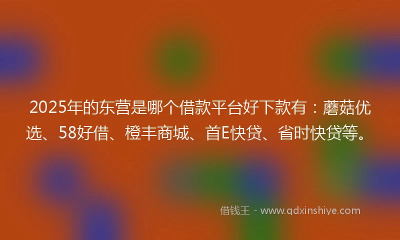 2025年的东营是哪个借款平台好下款有：蘑菇优选、58好借、橙丰商城、首E快贷、省时快贷等。
