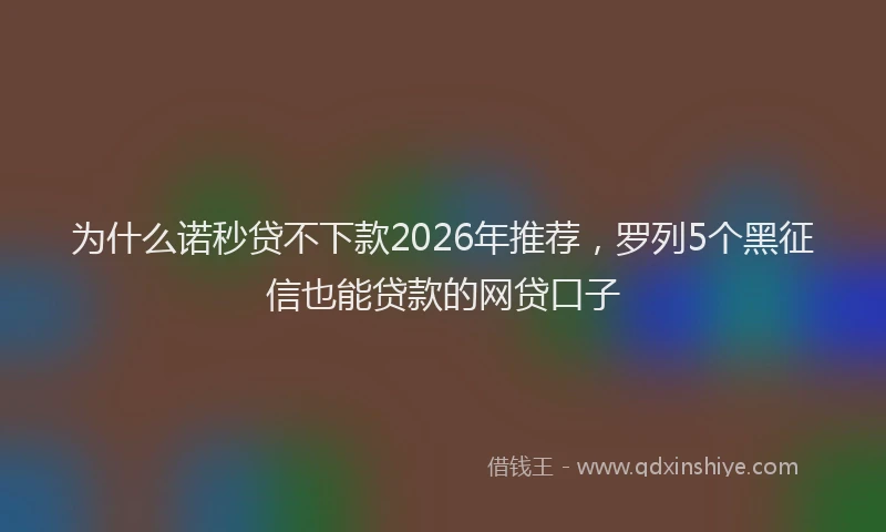 为什么诺秒贷不下款2026年推荐，罗列5个黑征信也能贷款的网贷口子