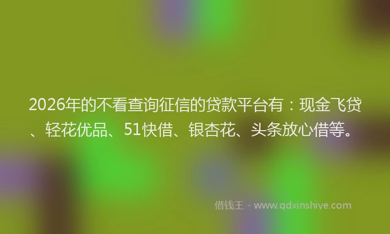 2026年的不看查询征信的贷款平台有：现金飞贷、轻花优品、51快借、银杏花、头条放心借等。
