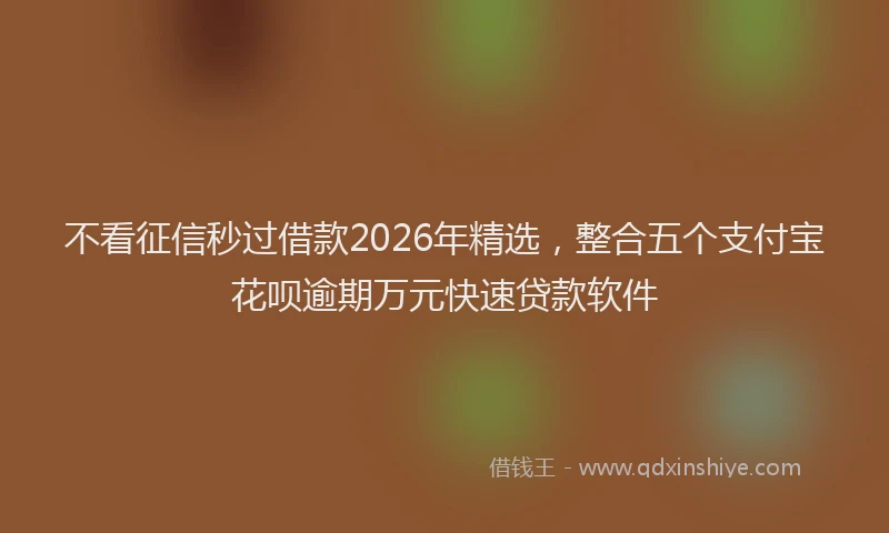 不看征信秒过借款2026年精选，整合五个支付宝花呗逾期万元快速贷款软件