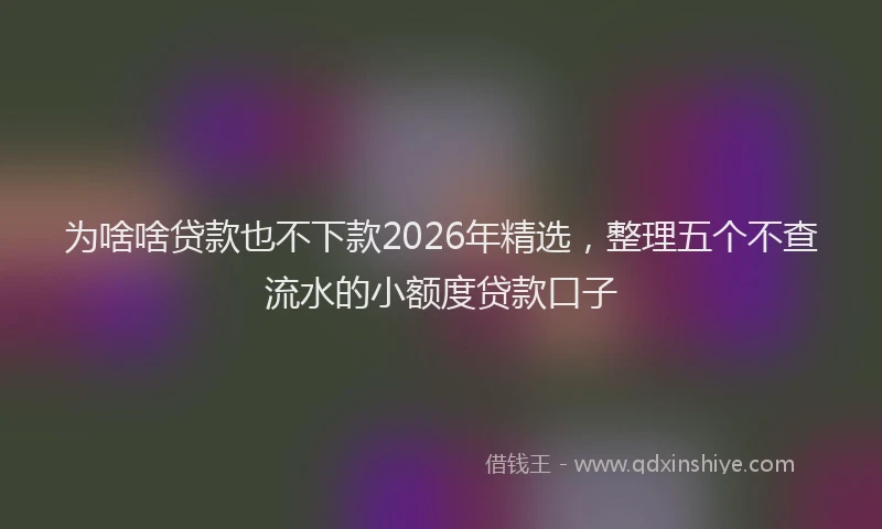为啥啥贷款也不下款2026年精选，整理五个不查流水的小额度贷款口子