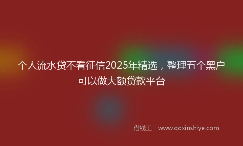 个人流水贷不看征信2025年精选，整理五个黑户可以做大额贷款平台