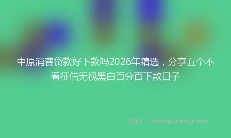 中原消费贷款好下款吗2026年精选，分享五个不看征信无视黑白百分百下款口子