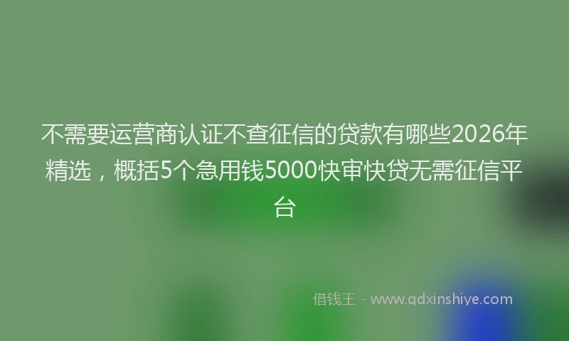 不需要运营商认证不查征信的贷款有哪些2026年精选，概括5个急用钱5000快审快贷无需征信平台