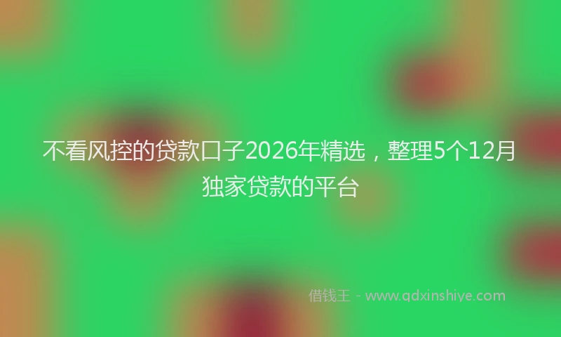 不看风控的贷款口子2026年精选，整理5个12月独家贷款的平台