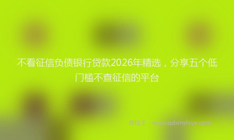 不看征信负债银行贷款2026年精选，分享五个低门槛不查征信的平台