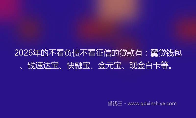 2026年的不看负债不看征信的贷款有:翼贷钱包、钱速达宝、快融宝、金元宝、现金白卡等。