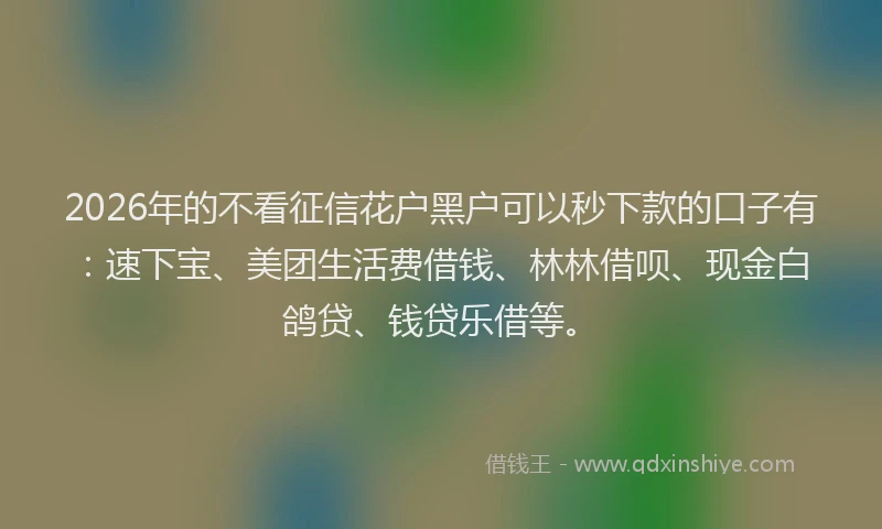 2026年的不看征信花户黑户可以秒下款的口子有：速下宝、美团生活费借钱、林林借呗、现金白鸽贷、钱贷乐借等。
