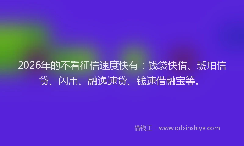 2026年的不看征信速度快有：钱袋快借、琥珀信贷、闪用、融逸速贷、钱速借融宝等。