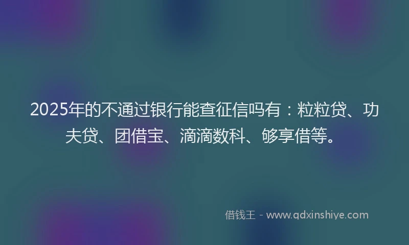 2025年的不通过银行能查征信吗有:粒粒贷、功夫贷、团借宝、滴滴数科、够享借等。