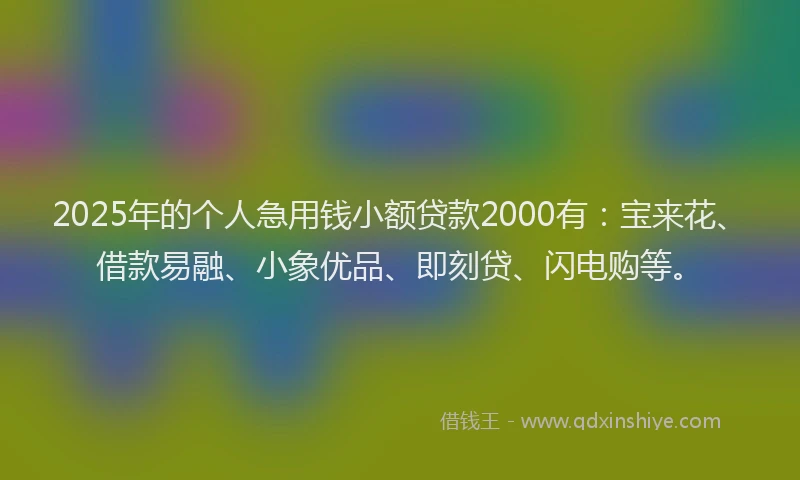 2025年的个人急用钱小额贷款2000有:宝来花、借款易融、小象优品、即刻贷、闪电购等。