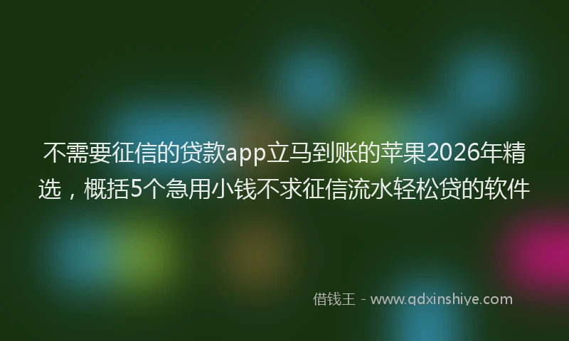 不需要征信的贷款app立马到账的苹果2026年精选，概括5个急用小钱不求征信流水轻松贷的软件