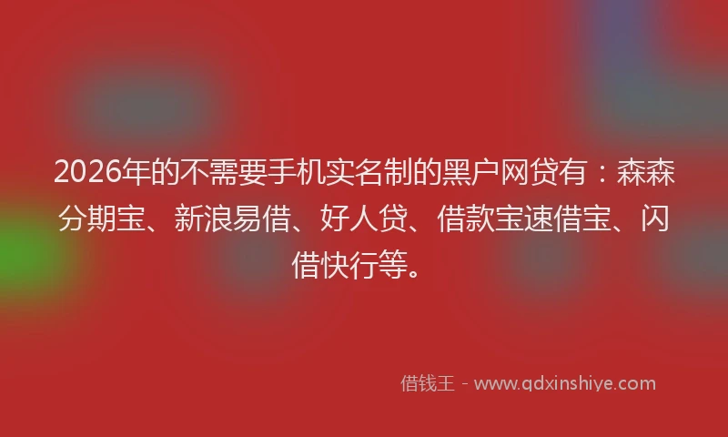 2026年的不需要手机实名制的黑户网贷有:森森分期宝、新浪易借、好人贷、借款宝速借宝、闪借快行等。