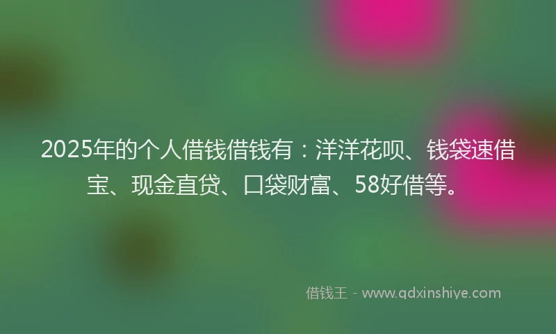 2025年的个人借钱借钱有：洋洋花呗、钱袋速借宝、现金直贷、口袋财富、58好借等。