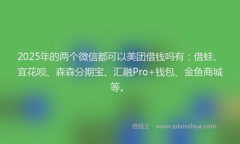 2025年的两个微信都可以美团借钱吗有:借蛙、宜花呗、森森分期宝、汇融Pro+钱包、金鱼商城等。