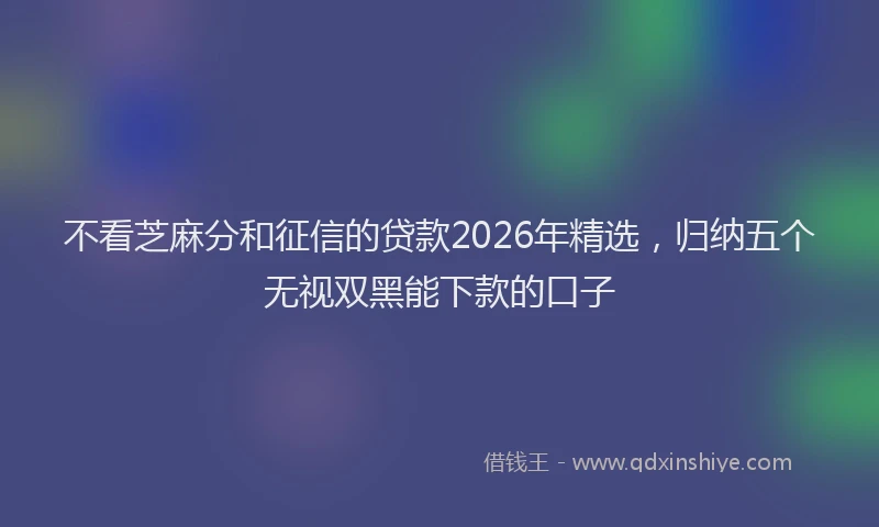 不看芝麻分和征信的贷款2026年精选，归纳五个无视双黑能下款的口子