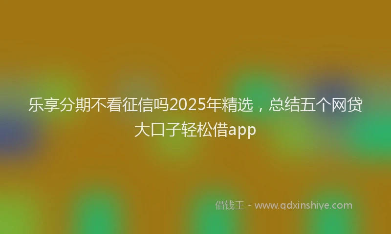 乐享分期不看征信吗2025年精选，总结五个网贷大口子轻松借app
