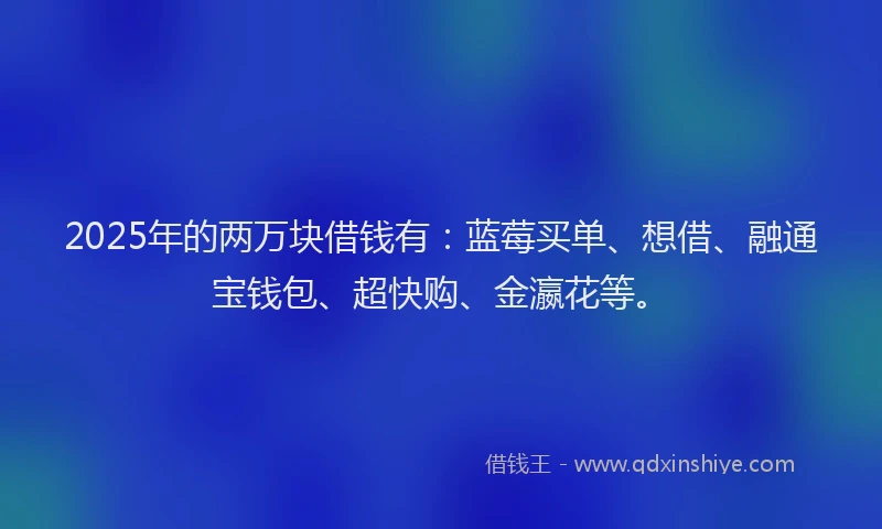 2025年的两万块借钱有：蓝莓买单、想借、融通宝钱包、超快购、金瀛花等。
