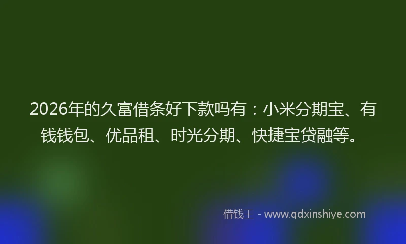 2026年的久富借条好下款吗有：小米分期宝、有钱钱包、优品租、时光分期、快捷宝贷融等。