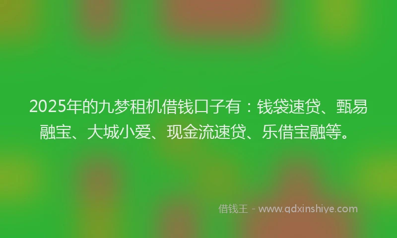 2025年的九梦租机借钱口子有:钱袋速贷、甄易融宝、大城小爱、现金流速贷、乐借宝融等。