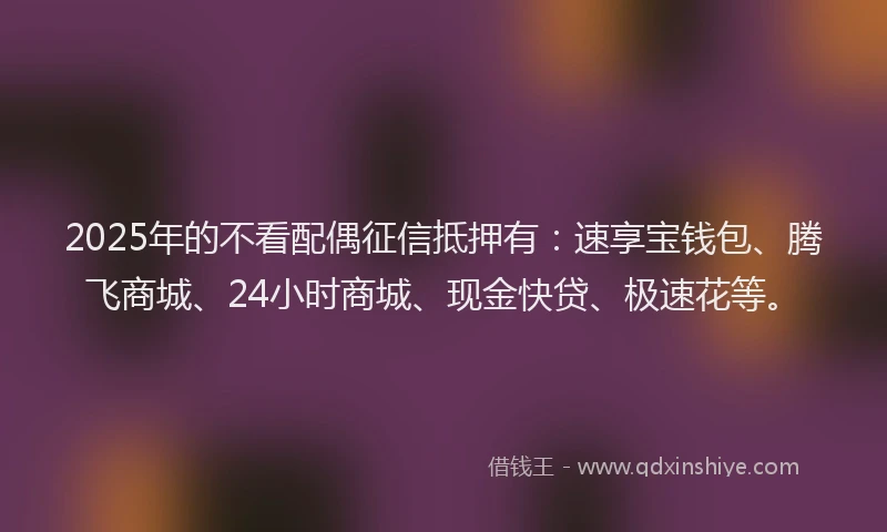 2025年的不看配偶征信抵押有：速享宝钱包、腾飞商城、24小时商城、现金快贷、极速花等。