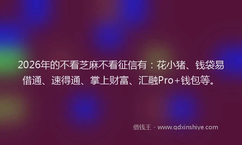 2026年的不看芝麻不看征信有：花小猪、钱袋易借通、速得通、掌上财富、汇融Pro+钱包等。