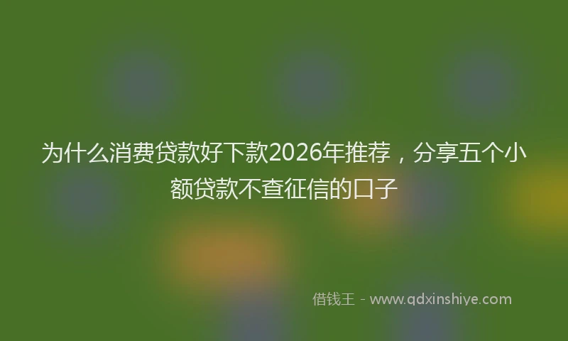 为什么消费贷款好下款2026年推荐，分享五个小额贷款不查征信的口子