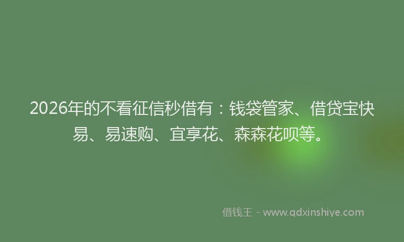 2026年的不看征信秒借有：钱袋管家、借贷宝快易、易速购、宜享花、森森花呗等。