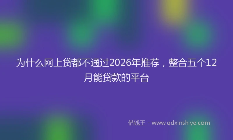 为什么网上贷都不通过2026年推荐，整合五个12月能贷款的平台